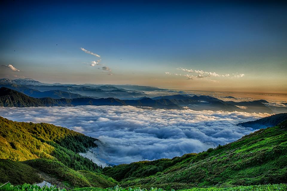 Georgian forests and wetlands to be included among UNESCO World Heritage Sites geotv.ge